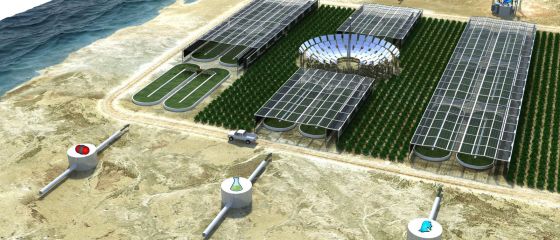 Desertul verde. Proiectul revolutionar al Qatar-ului. GALERIE FOTO