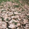 Agricultura a tras in jos economia romaneasca in trimestrul III