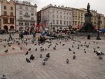 Tara care s-a schimbat la fata cu ajutorul fondurilor europene. Cum a reusit Polonia sa atraga 67 mld. euro in sase ani