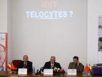 Telocitele, descoperirea minune a romanilor