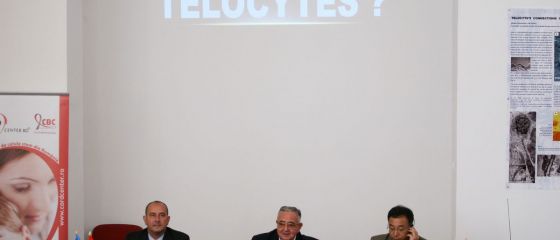 Telocitele, descoperirea minune a romanilor