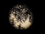 SUA au vrut sa detoneze o bomba nucleara pe Luna
