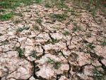 Economia Romaniei a crescut cu doar 0,2% la noua luni. Agricultura s-a prabusit cu peste 20%