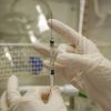 Medicii care au studiat in strainatate se intorc acasa. Sistemul sanitar are nevoie de anestezisti, cardiologi si endocrinologi