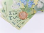 Referinta BNR a coborat la 4,4451 lei/euro, cel mai redus nivel din ultimele aproape 6 luni