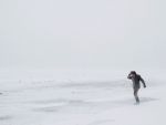 Avertizare meteo de vant puternic in toata tara