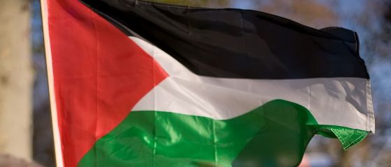 Sintagma statul Palestina a aparut in documentele oficiale - presa
