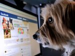 Facebook, tot mai aproape de telefon. Lanseaza serviciul de mesagerie vocala si promite convorbiri gratuite pentru utilizatori