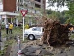 Accidente in Capitala, din cauza vantului. Un copac a cazut peste 8 masini