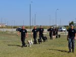 Un detinut de la Jilava, condamnat pentru talharie, a evadat