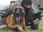 Austriecii decid prin referendum daca vor armata profesionista sau serviciu militar obligatoriu
