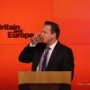 Marea Britanie vrea referendum pentru Europa. Franta: Va intindem covorul rosul la iesire