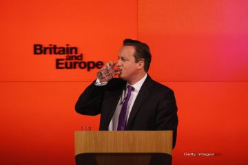 Marea Britanie vrea referendum pentru Europa. Franta: Va intindem covorul rosul la iesire