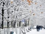 Ploi, lapovita si ninsoare pana joi la pranz. Situatia pe regiuni