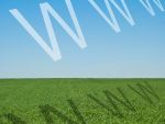 Romanii de la sate au descoperit internetul. Avans de 11% in rural si de 8,4% la nivel national, in 2012