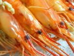 Gastronomia, noua oportunitate explorata de agentiile de turism. La ce preturi ajung pachetele exotice ce includ experiente culinare de neuitat