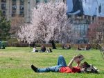 Prognoza meteo pana in aprilie. Temperaturile din fiecare regiune a tarii