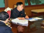 Matusa lui Kim Jong-un s-ar fi sinucis
