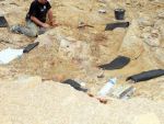 Fosilele unui nou tip de reptila din epoca dinozaurilor, descoperite in Romania