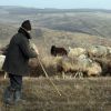 Cel mai in varsta angajat din Romania nu s-a putut impaca cu gandul somajului. S-a intors la munca, desi are 96 de ani
