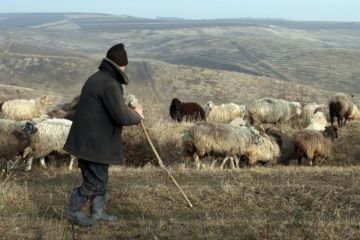 Cel mai in varsta angajat din Romania nu s-a putut impaca cu gandul somajului. S-a intors la munca, desi are 96 de ani