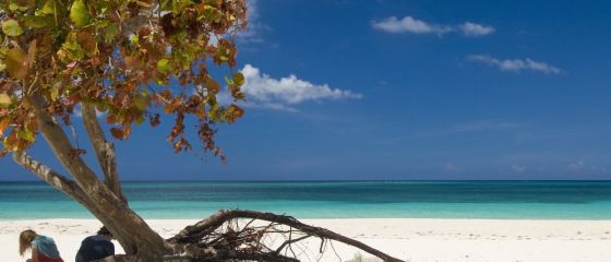 Proprietarul Paralela 45: Anul a inceput cu o crestere a cererilor pentru vacante exotice si circuite externe