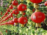 Asia a intrat in Anul Sarpelui. Noul An aduce austeritate in China