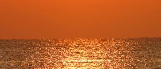 Romgaz intra in asociere cu OMV si Exxon pentru explotarea gazelor din Marea Neagra, cu o cota de 10%