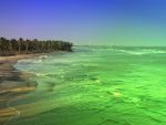 Predictii pentru urmatorii 100 de ani. Care sunt sansele sa mutam agricultura in ocean si sa devenim nemuritori
