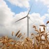 Energia verde ne arde la buzunare. Certificatele verzi vor dubla factura la curent, pana in 2020