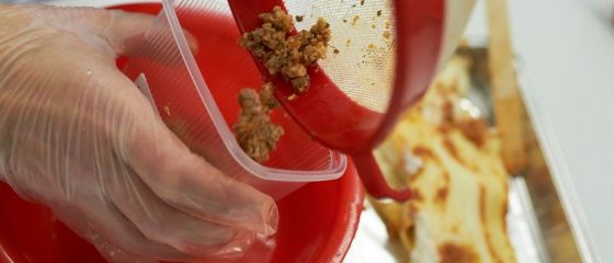 Carne de cal descoperita pentru prima data in lasagna bologneza in Italia