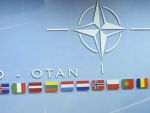 NATO da startul la internshipuri platite. Ce candidati se cauta