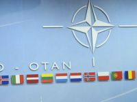 
	NATO da startul la internshipuri platite. Ce candidati se cauta&nbsp;
