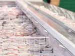 Romania, lovita. Exporturile de carne de cal si de vita transata au scazut aproape total in urma scandalului. Sunt bani de care agricultura avea nevoie