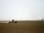 Preturile terenurilor agricole in Romania, tot mai atractive pentru straini. Doua companii britanice vor sa investeasca pana la 20 de mil. euro