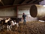 Activitatea a 32 de automate de lapte alimentate de la ferme, suspendata