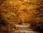 Numarul turistilor straini in Romania a depasit 7 milioane, la 9 luni. De unde vin cei mai multi