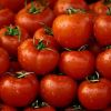Calugarii de pe muntele Athos se hranesc cu legume romanesti. Afacerile bio, mai aproape de Dumnezeu