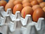 Inflatia a scazut la 0,04% in martie. Produsele alimentare si nealimentare s-au ieftinit