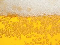 Motivul pentru care oamenilor le place sa bea bere, descoperit de cercetatori