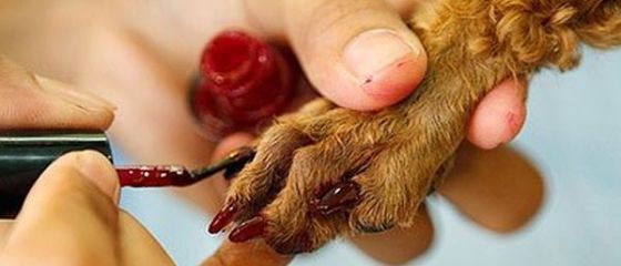 Cele mai ciudate lucruri pe care sefii le-au cerut angajatilor