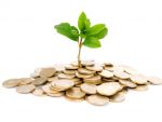 Tinerii pot depune de luni planuri de afaceri, pentru a primi finantare de 10.000 euro de la stat