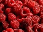 Palinca de zmeura, produsa la Sf. Gheorghe, obtine marele premiu la un festival din Ungaria. Suntem doi asociati care avem un cu totul alt business. Ideea a pornit ca un hobby