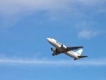 Blue Air a primit 9 oferte de cumparare. Cele mai multe vin din partea investitorilor straini