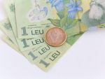 Cursul a coborat sub 4,35 lei/euro la finalul sesiunii interbancare