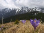 Salvamontistii sfatuiesc turistii sa nu urce pe traseele din Masivul Bucegi