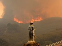 Incendiu puternic intr-o zona impadurita din Bacau. 10 hectare de vegetatie au fost afectate
