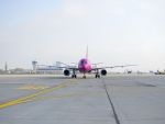Avion intors pe Aeroportul Henri Coanda , dupa ce a lovit o pasare