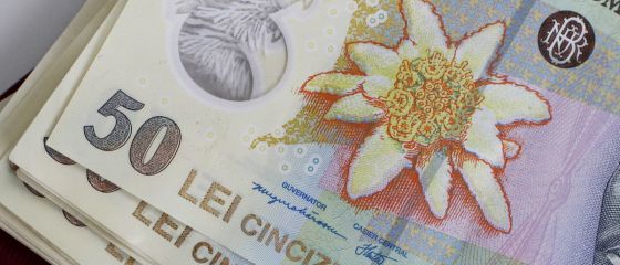 Parintii care au avut venituri 12 luni in ultimii doi ani anteriori nasterii ar putea lua indemnizatie