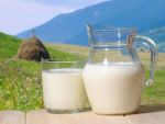 Afacerile Albalact au urcat cu 18% la 3 luni